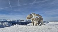 Blick vom Aroser Weisshorn &ndash; &copy; Sinah Witzig (Eberhardt TRAVEL)
