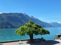 006 Brienz - Am Brienzersee &ndash; &copy; Annette Probst-Weise (Eberhardt TRAVEL)