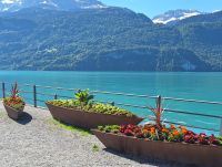 018 Brienz - am Brienzersee &ndash; &copy; Annette Probst-Weise (Eberhardt TRAVEL)