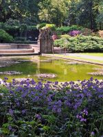 111 Bern - Rosengarten &ndash; &copy; Annette Probst-Weise (Eberhardt TRAVEL)