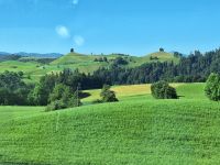 237 Heimreise - Fahrt über den Hirzel &ndash; &copy; Annette Probst-Weise (Eberhardt TRAVEL)