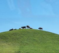 238 Heimreise - Fahrt über den Hirzel &ndash; &copy; Annette Probst-Weise (Eberhardt TRAVEL)