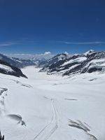 195 Ausflug auf das Jungfraujoch - Blick über den Aletschgletscher in die Berner und Walliser Alpen &ndash; &copy; Annette Probst-Weise (Eberhardt TRAVEL)