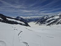 auf dem Jungfraujoch... (Großer Aletschgletscher) &ndash; &copy; Katrin Deutschbein (Eberhardt TRAVEL)
