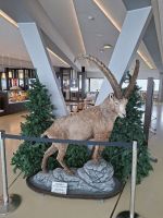 Pilatus-Kulm &ndash; &copy; Katrin Deutschbein (Eberhardt TRAVEL)
