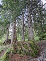 Wanderung auf der Schwägalp &ndash; &copy; Katrin Deutschbein (Eberhardt TRAVEL)