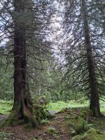 Wanderung auf der Schwägalp &ndash; &copy; Katrin Deutschbein (Eberhardt TRAVEL)