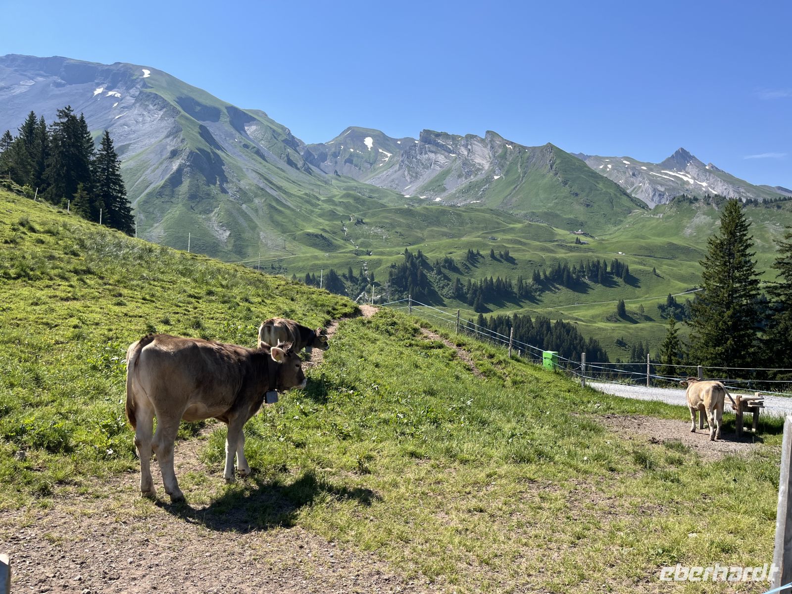 Klewenalp - Rundblick &ndash; &copy; Renate Grafe (Eberhardt TRAVEL)