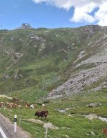 063 Engadin-Rundfahrt - Julierpass &ndash; &copy; Annette Probst-Weise (Eberhardt TRAVEL)