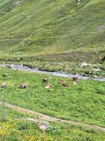 204 Fahrt mit der Furka-Dampf-Bahn - &ndash; &copy; Annette Probst-Weise (Eberhardt TRAVEL)