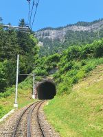 254 Ausflug auf die Rigi &ndash; &copy; Annette Probst-Weise (Eberhardt TRAVEL)
