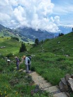 269 Ausflug auf die Schynige Platte - Alpengarten &ndash; &copy; Annette Probst-Weise (Eberhardt TRAVEL)