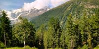 Blick zum Morteratschgletscher