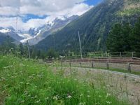 Morteratschgletscher &ndash; &copy; Gisela Hohlfeld (Eberhardt TRAVEL)