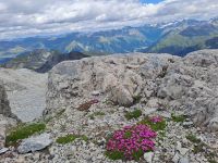 Bergaussicht &ndash; &copy; Gisela Hohlfeld (Eberhardt TRAVEL)