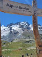 Alpingarten &ndash; &copy; Gisela Hohlfeld (Eberhardt TRAVEL)