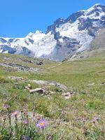 Alpingarten &ndash; &copy; Gisela Hohlfeld (Eberhardt TRAVEL)