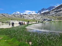 Rückblick Riffelsee - Monte Rosa Gruppe &ndash; &copy; Gisela Hohlfeld (Eberhardt TRAVEL)