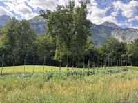&copy; Gerd Müller (Eberhardt TRAVEL)