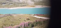 Fahrt nach Tirano &ndash; &copy; Kerstin Hugel (Eberhardt TRAVEL)