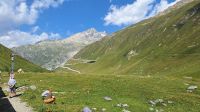Der Furka- (rechts) und Grimmselpass (links) &ndash; &copy; Andreas Kunzmann (Eberhardt TRAVEL)