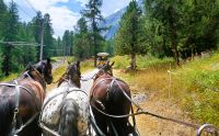 Pferdekutschfahrt im Val Roseg &ndash; &copy; Steffen Mucke (Eberhardt TRAVEL)