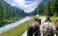 Pferdekutschfahrt im Val Roseg &ndash; &copy; Steffen Mucke (Eberhardt TRAVEL)