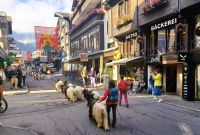 Zermatt (die Ziegen kommen!) &ndash; &copy; Steffen Mucke (Eberhardt TRAVEL)