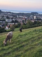 Blick Bodensee &ndash; &copy; Jürgen Müller (Eberhardt TRAVEL)