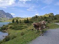 Wanderung um den Trübsee &ndash; &copy; Katrin Deutschbein (Eberhardt TRAVEL)