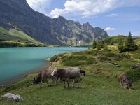Wanderung um den Trübsee &ndash; &copy; Katrin Deutschbein (Eberhardt TRAVEL)