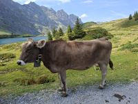 Wanderung um den Trübsee &ndash; &copy; Katrin Deutschbein (Eberhardt TRAVEL)