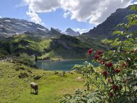 Wanderung um den Trübsee &ndash; &copy; Katrin Deutschbein (Eberhardt TRAVEL)