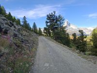 Zermatt (Fahrt zum Rothorn - Wanderung entlang des Blumenweges nahe der Station 