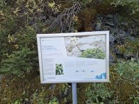 Zermatt (Fahrt zum Rothorn - Wanderung entlang des Blumenweges...)