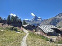 Zermatt (Wanderung entlang des Blumenweges bis zur Tufternalp)