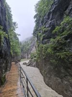 Aareschlucht