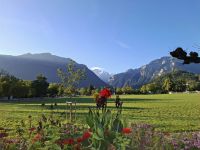 Interlaken (Blick über die Höhematte zur Jungfrau)