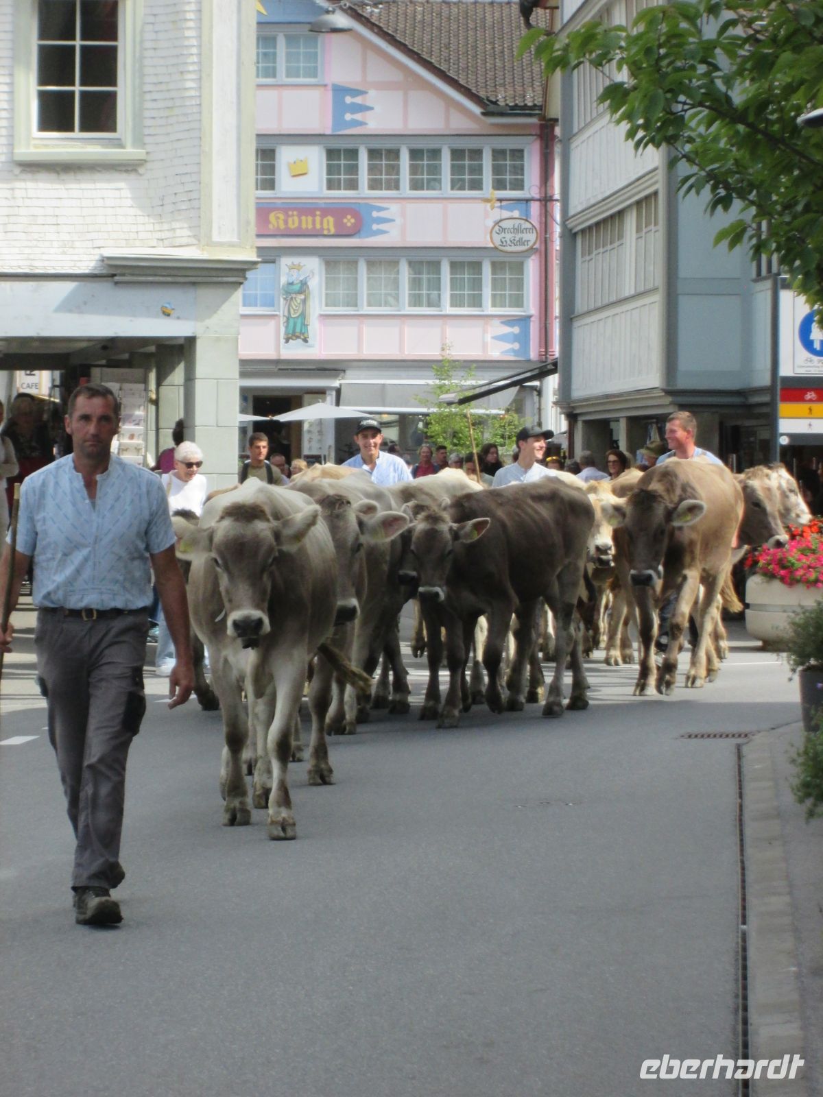 Alpfahrt durch Appenzell &ndash; &copy; Heike Heinen (Eberhardt TRAVEL)