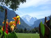 die Jungfrau &ndash; &copy; Heike Heinen (Eberhardt TRAVEL)