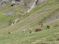 Fahrt zum Brienzer Rothorn... &ndash; &copy; Katrin Deutschbein (Eberhardt TRAVEL)