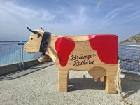 auf dem Brienzer Rothorn...  &ndash; &copy; Katrin Deutschbein (Eberhardt TRAVEL)
