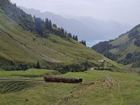 Rückfahrt mit der Brienzer Rothorn Bahn nach Brienz &ndash; &copy; Katrin Deutschbein (Eberhardt TRAVEL)