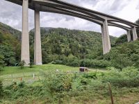 Fahrt mit dem Gotthard Panorama Express (Leventina-Tal - Biaschina-Viadukt)  &ndash; &copy; Katrin Deutschbein (Eberhardt TRAVEL)