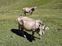 Fahrt auf der Furka-Bergstrecke... &ndash; &copy; Katrin Deutschbein (Eberhardt TRAVEL)