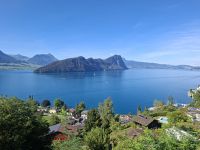 Fahrt mit der Vitznau-Rigi-Bahn... (Blick auf den Vierwaldstättersee mit dem Bürgenstock) &ndash; &copy; Katrin Deutschbein (Eberhardt TRAVEL)