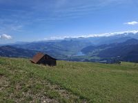 Rigi-Kulm (Blick zum Lauerzersee)