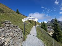 Schynige Platte (Alpengarten) &ndash; &copy; Katrin Deutschbein (Eberhardt TRAVEL)