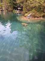 036 Ausflug zum Naturpark Blausee &ndash; &copy; Annette Probst-Weise (Eberhardt TRAVEL)