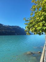 115 Brienzersee &ndash; &copy; Annette Probst-Weise (Eberhardt TRAVEL)